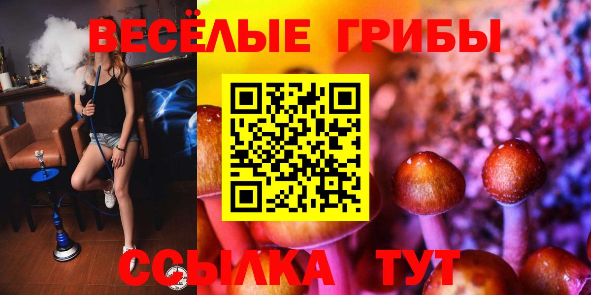 Галлюциногенные грибы Magic Shrooms Губкинский