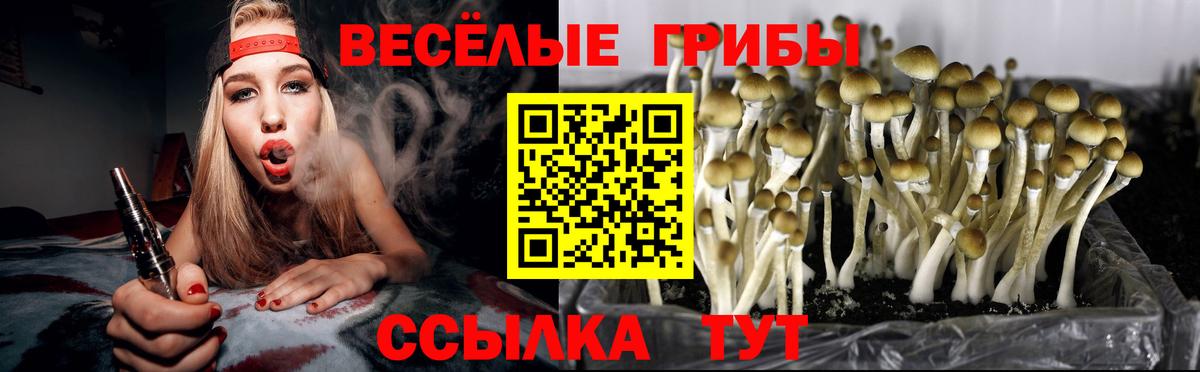 Губкинский  Галлюциногенные грибы прущие грибы  Вход с VPN  Псилоцибиновые грибы MAGIC MUSHROOMS 